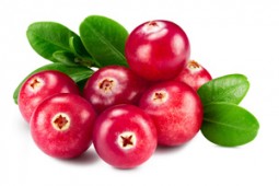 La Cranberry ou Canneberge