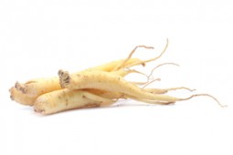 Le Ginseng - Panax Ginseng
