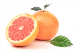 Le Pamplemousse - Citrus grandis