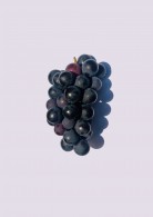 Huile de pépins de raisin