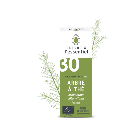 Huile essentielle de l'arbre à thé bio - Flacon de 10 ml à 5,90€ | Ponroy