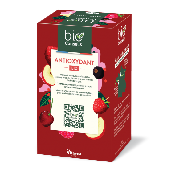 Thé noir Fruits rouges Bio